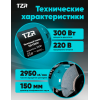 Станок точильный TZR T300W