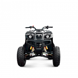 Квадроцикл TZR CLASSIC 200