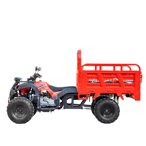 Грузовой квадроцикл TZR FARMER 250